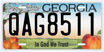 GA license plate QAG8511
