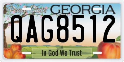 GA license plate QAG8512