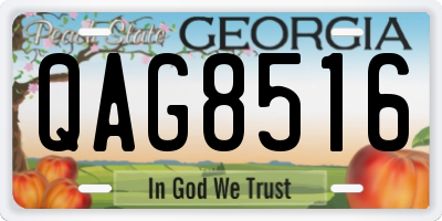 GA license plate QAG8516