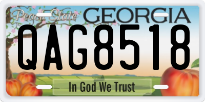 GA license plate QAG8518