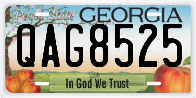 GA license plate QAG8525