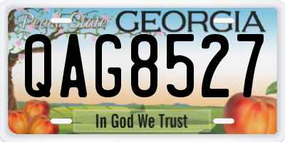 GA license plate QAG8527