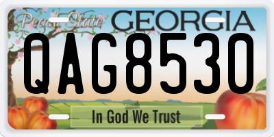 GA license plate QAG8530