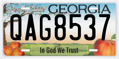 GA license plate QAG8537