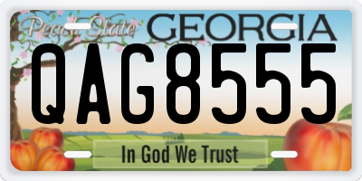 GA license plate QAG8555