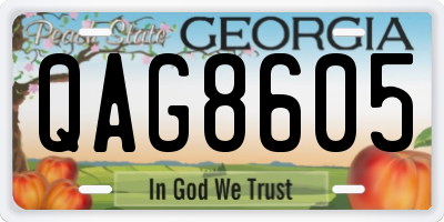 GA license plate QAG8605