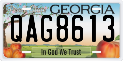 GA license plate QAG8613