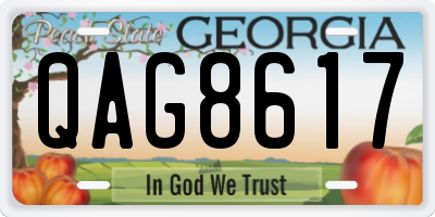 GA license plate QAG8617