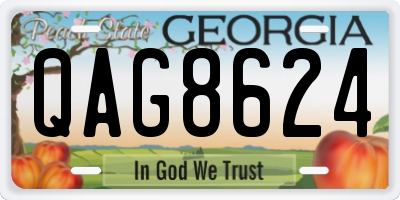 GA license plate QAG8624