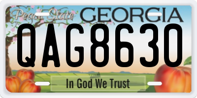 GA license plate QAG8630