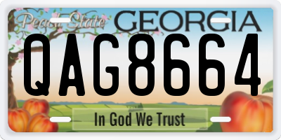 GA license plate QAG8664