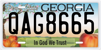 GA license plate QAG8665