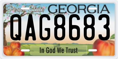 GA license plate QAG8683