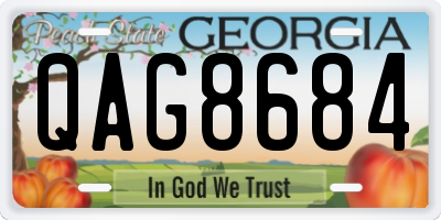 GA license plate QAG8684