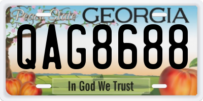 GA license plate QAG8688