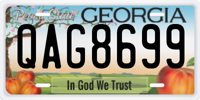 GA license plate QAG8699
