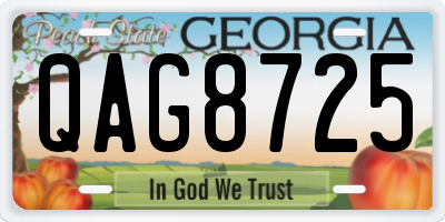 GA license plate QAG8725