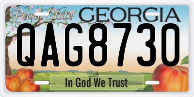 GA license plate QAG8730