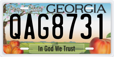 GA license plate QAG8731