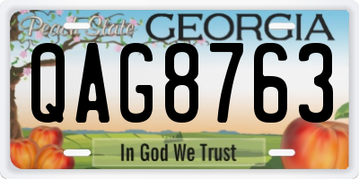 GA license plate QAG8763