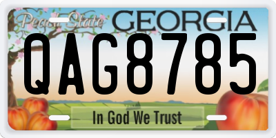GA license plate QAG8785