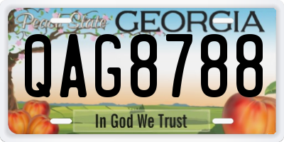GA license plate QAG8788