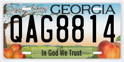 GA license plate QAG8814