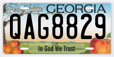 GA license plate QAG8829