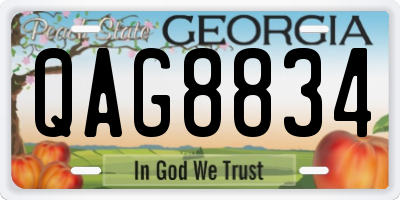 GA license plate QAG8834
