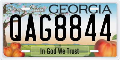 GA license plate QAG8844
