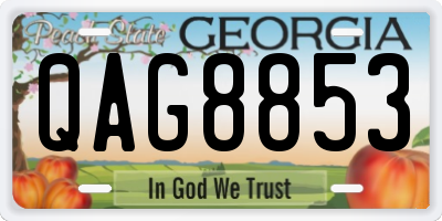 GA license plate QAG8853