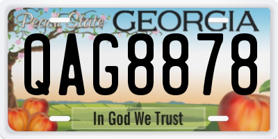 GA license plate QAG8878