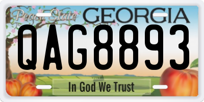 GA license plate QAG8893