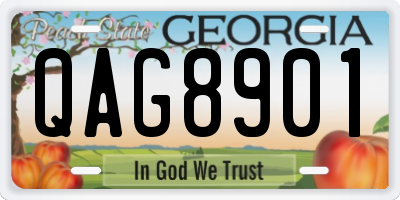 GA license plate QAG8901