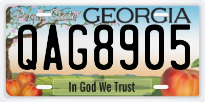 GA license plate QAG8905
