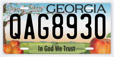 GA license plate QAG8930