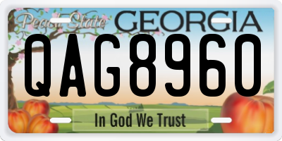 GA license plate QAG8960
