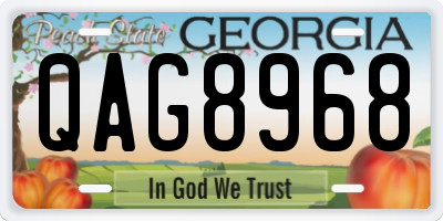 GA license plate QAG8968
