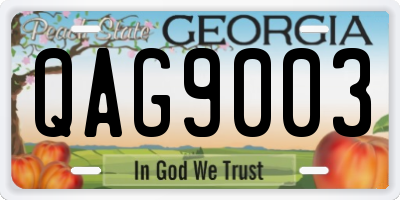 GA license plate QAG9003