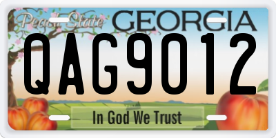 GA license plate QAG9012