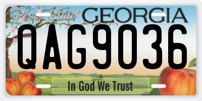 GA license plate QAG9036