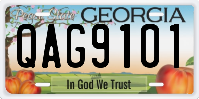 GA license plate QAG9101