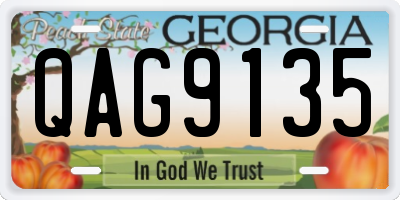 GA license plate QAG9135