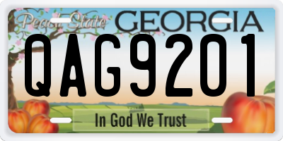 GA license plate QAG9201