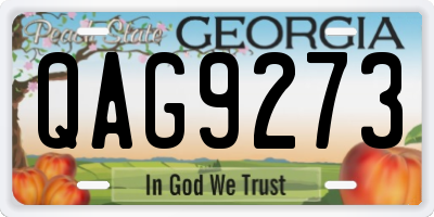 GA license plate QAG9273