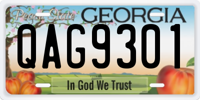 GA license plate QAG9301