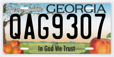 GA license plate QAG9307