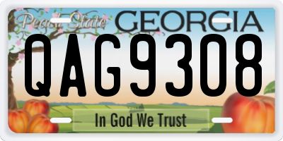 GA license plate QAG9308