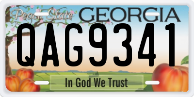 GA license plate QAG9341