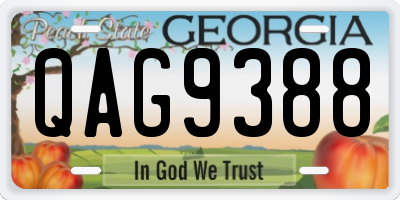 GA license plate QAG9388